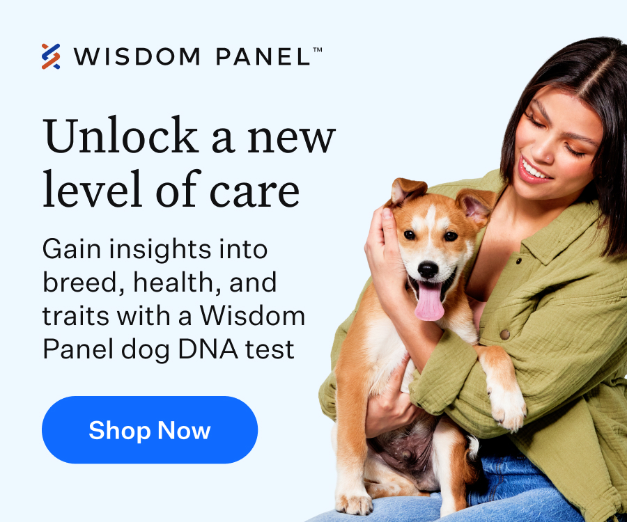 Wisdom Panel advert