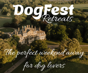 DogFest Retreats advert