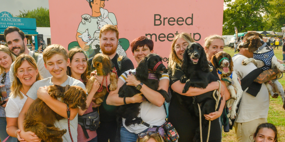 DogFest Breed MeetUp DogFest 2024
