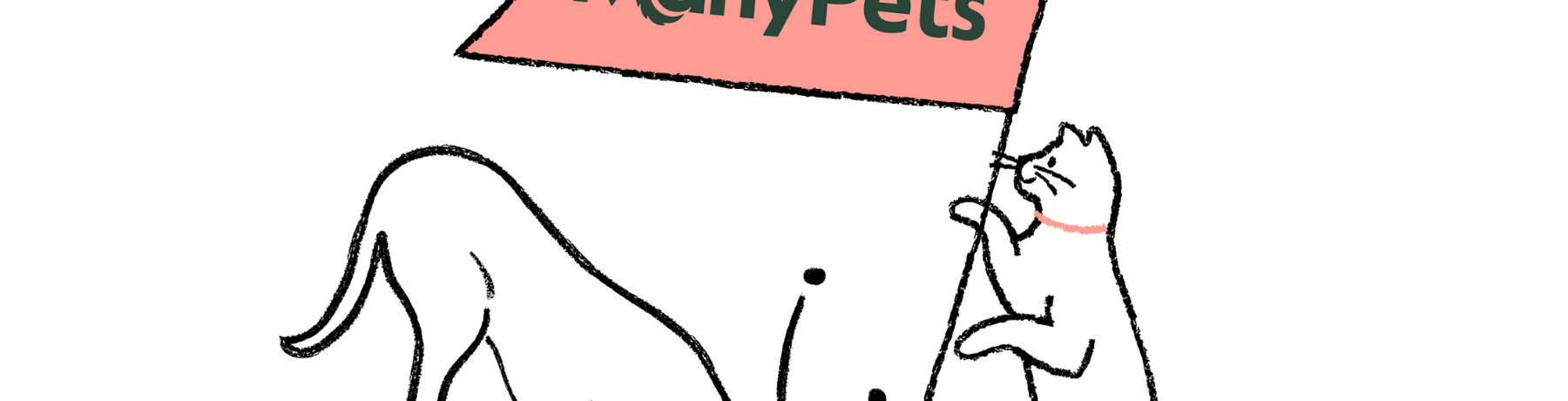 Introducing ManyPets - the new name for Bought By Many image