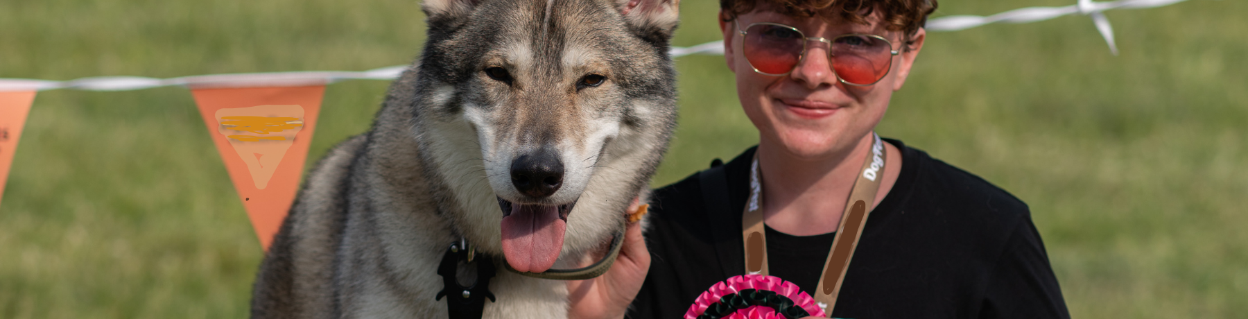 What’s New for Fun Dog Show at DogFest? image