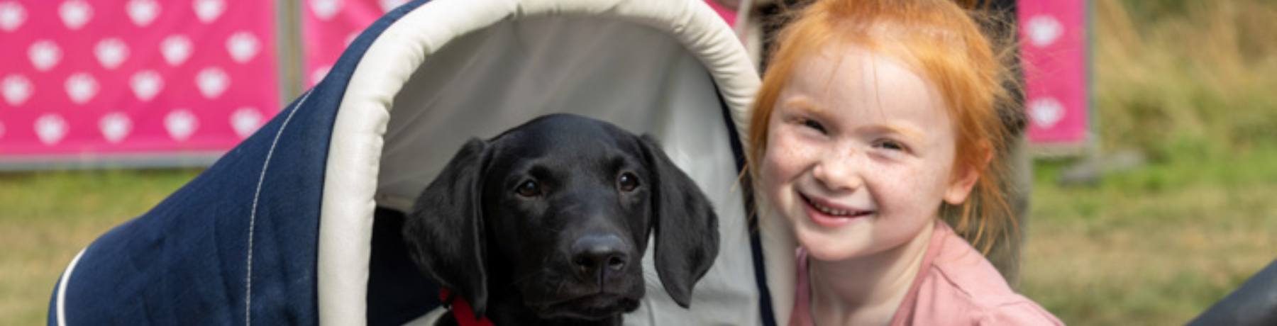 Top Things For Kids And Dogs To Do At DogFest image