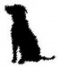 Dorset Dog Togs logo