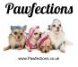 Pawfections logo