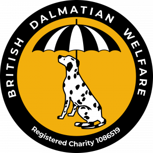 BDW-LOGO-4-300×300