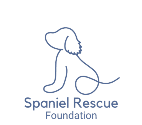 spaniel rescue foundation